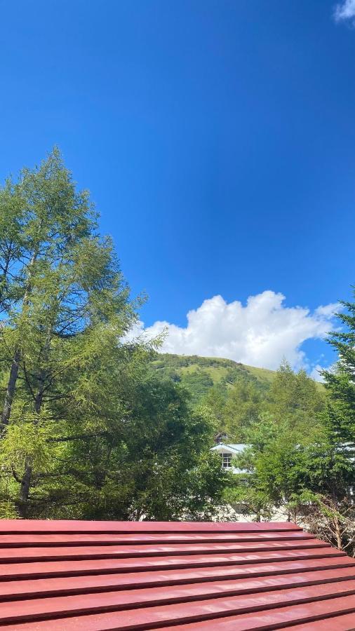 Pension Green Grass Чино Екстериор снимка