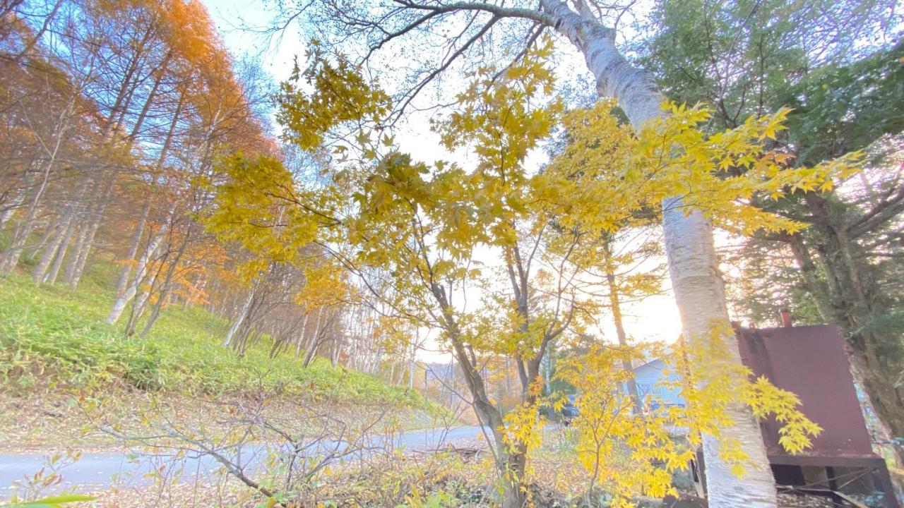 Pension Green Grass Чино Екстериор снимка